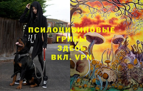 2c-b Алексеевка