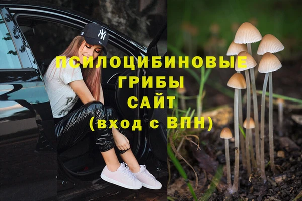 тгк Алзамай