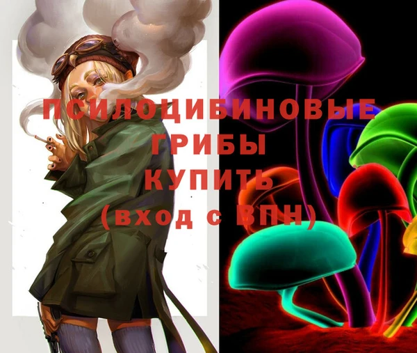 ALPHA PVP Иннополис