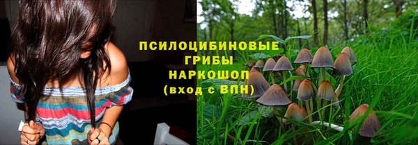 герыч Зеленокумск