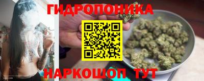 марки lsd Новозыбков