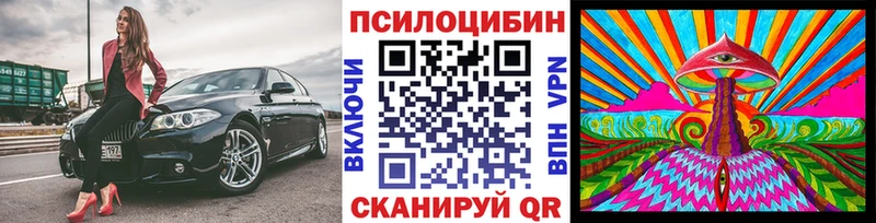Галлюциногенные грибы GOLDEN TEACHER  где продают   Тайшет 