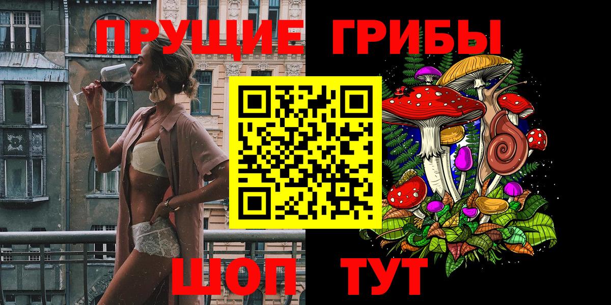 закладка  Вход с VPN  Тайшет  Галлюциногенные грибы Psilocybine cubensis 